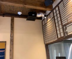 「みんなでつくる滋賀県安心・安全店舗認証制度」の現地調査に立ち会い